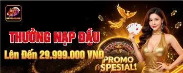 Banner Khuyến Mãi RIKVIP